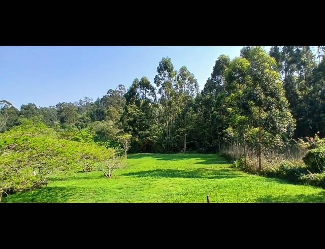 17,436M² SMALLHOLDING FOR SALE IN PEACEVALE